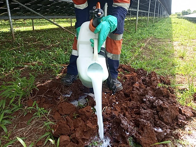 Mosquito Control