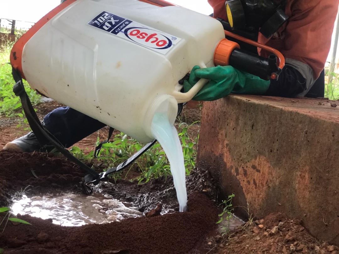 Termite Treatment