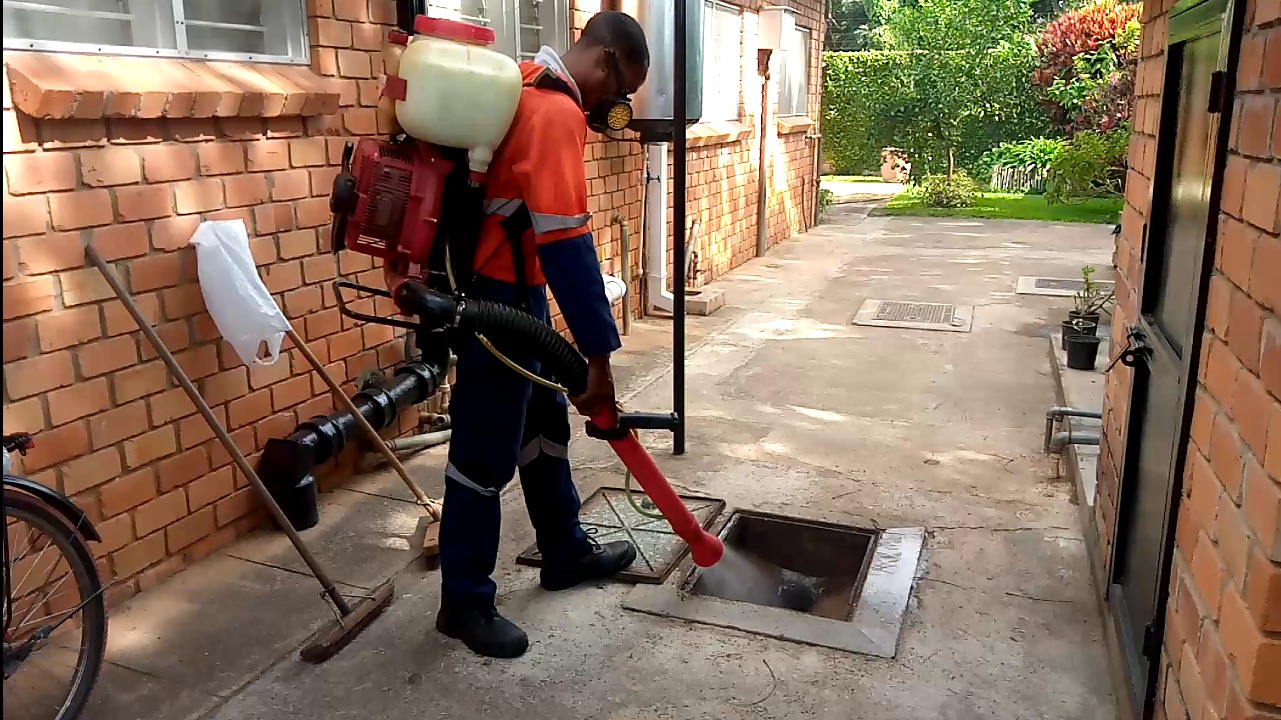 Cockroach Fumigation